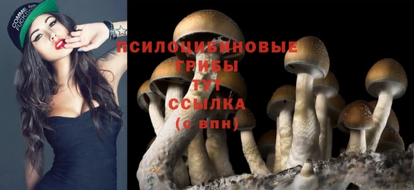 хмурый Костерёво