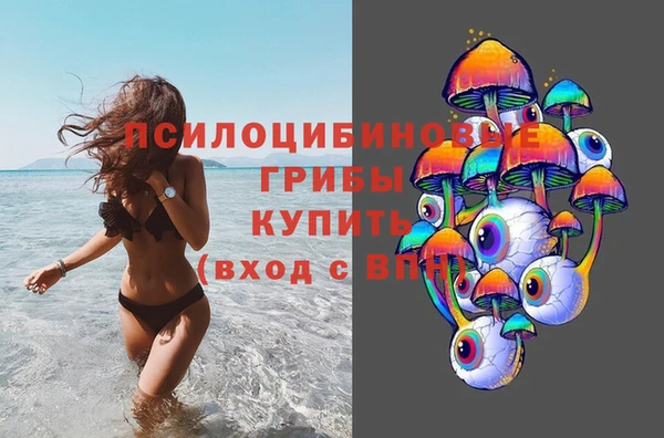 хмурый Костерёво