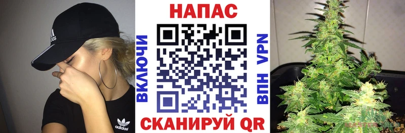 Купить  Ростов  Канабис гибрид 